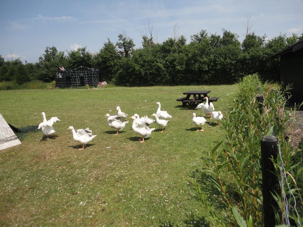 Willow Court Farm The Lodge & Petting Farm, 8 Mins From Legoland & Windsor, 15 Mins From Lapland Uk Εξωτερικό φωτογραφία