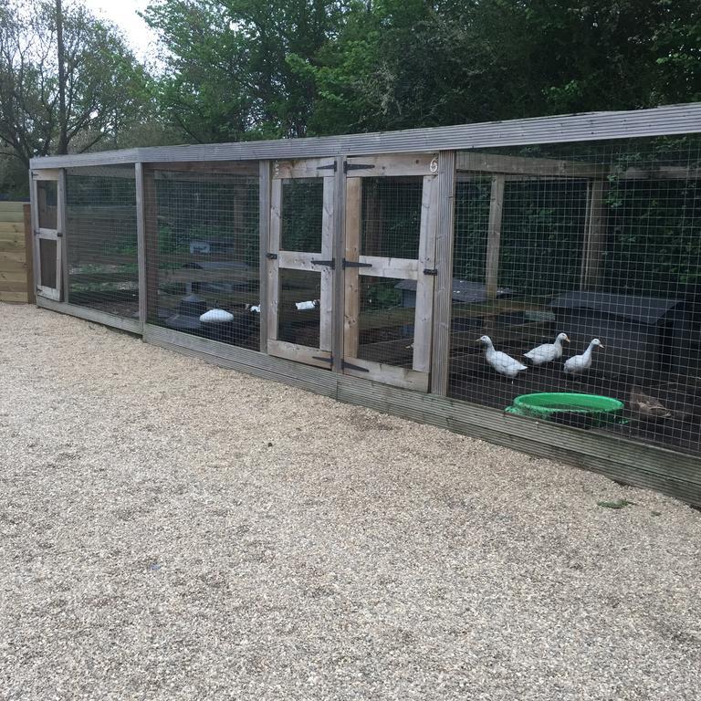 Willow Court Farm The Lodge & Petting Farm, 8 Mins From Legoland & Windsor, 15 Mins From Lapland Uk Εξωτερικό φωτογραφία