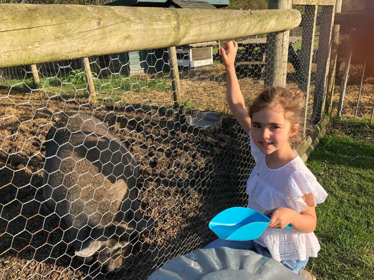 Willow Court Farm The Lodge & Petting Farm, 8 Mins From Legoland & Windsor, 15 Mins From Lapland Uk Εξωτερικό φωτογραφία