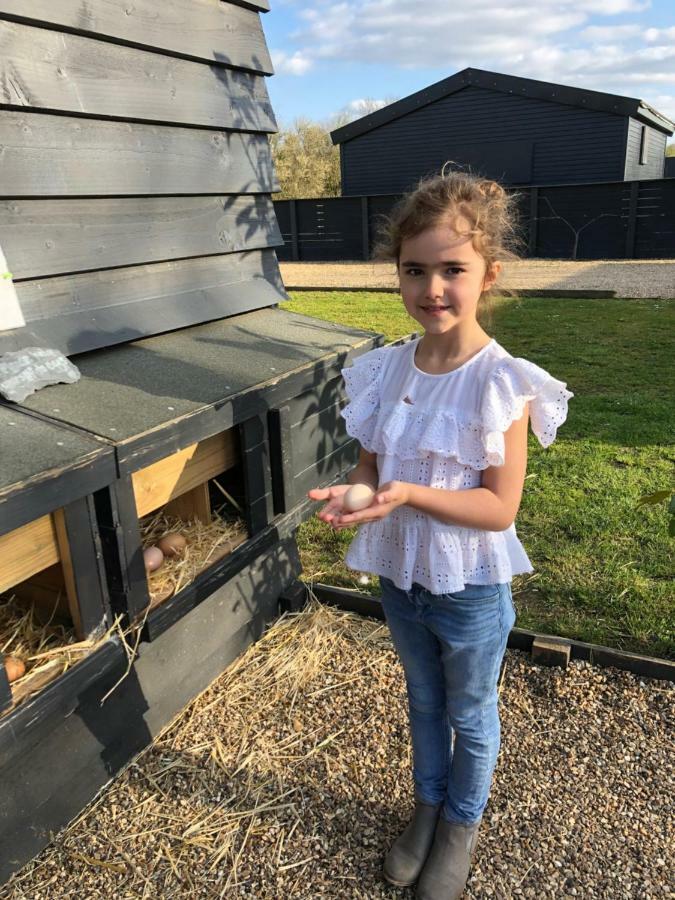 Willow Court Farm The Lodge & Petting Farm, 8 Mins From Legoland & Windsor, 15 Mins From Lapland Uk Εξωτερικό φωτογραφία