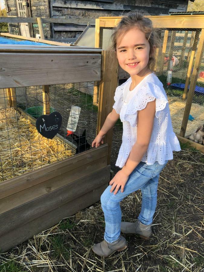 Willow Court Farm The Lodge & Petting Farm, 8 Mins From Legoland & Windsor, 15 Mins From Lapland Uk Εξωτερικό φωτογραφία