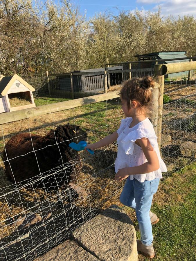 Willow Court Farm The Lodge & Petting Farm, 8 Mins From Legoland & Windsor, 15 Mins From Lapland Uk Εξωτερικό φωτογραφία